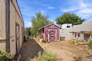  Photo 23