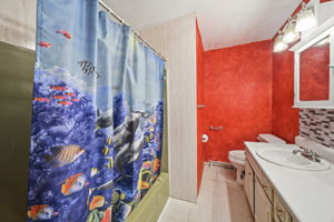  Photo 39