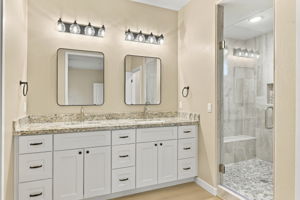 Primary Bathroom 2