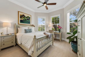 Guest Bed