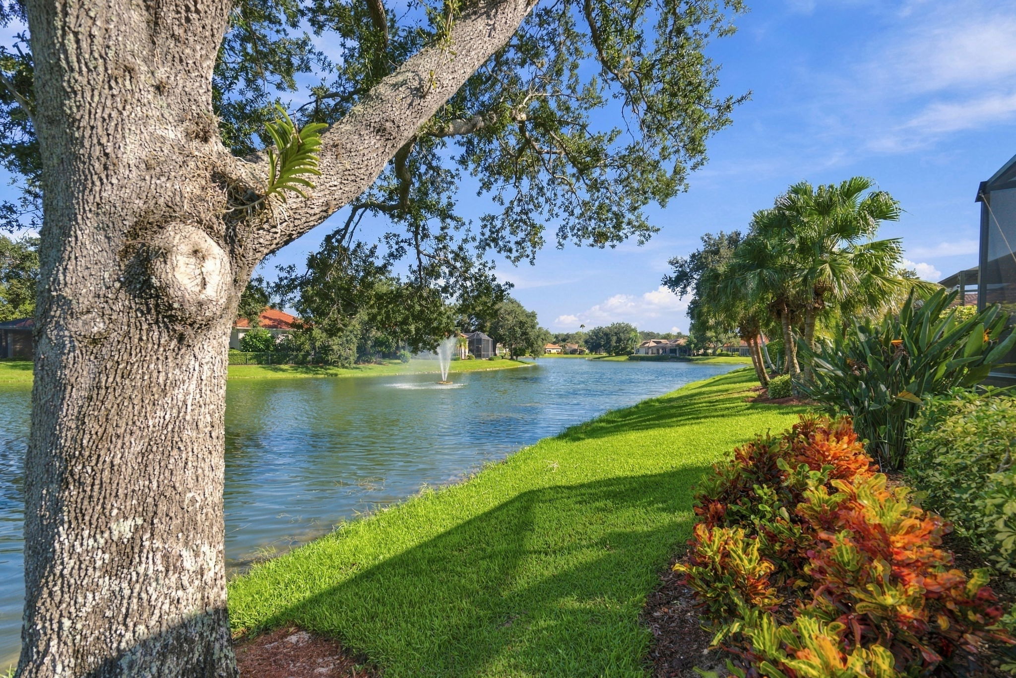 Lake View