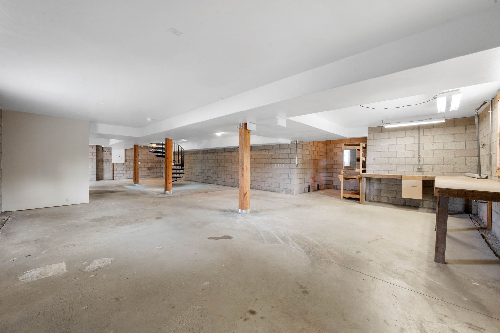 Unfinished Basement (2)