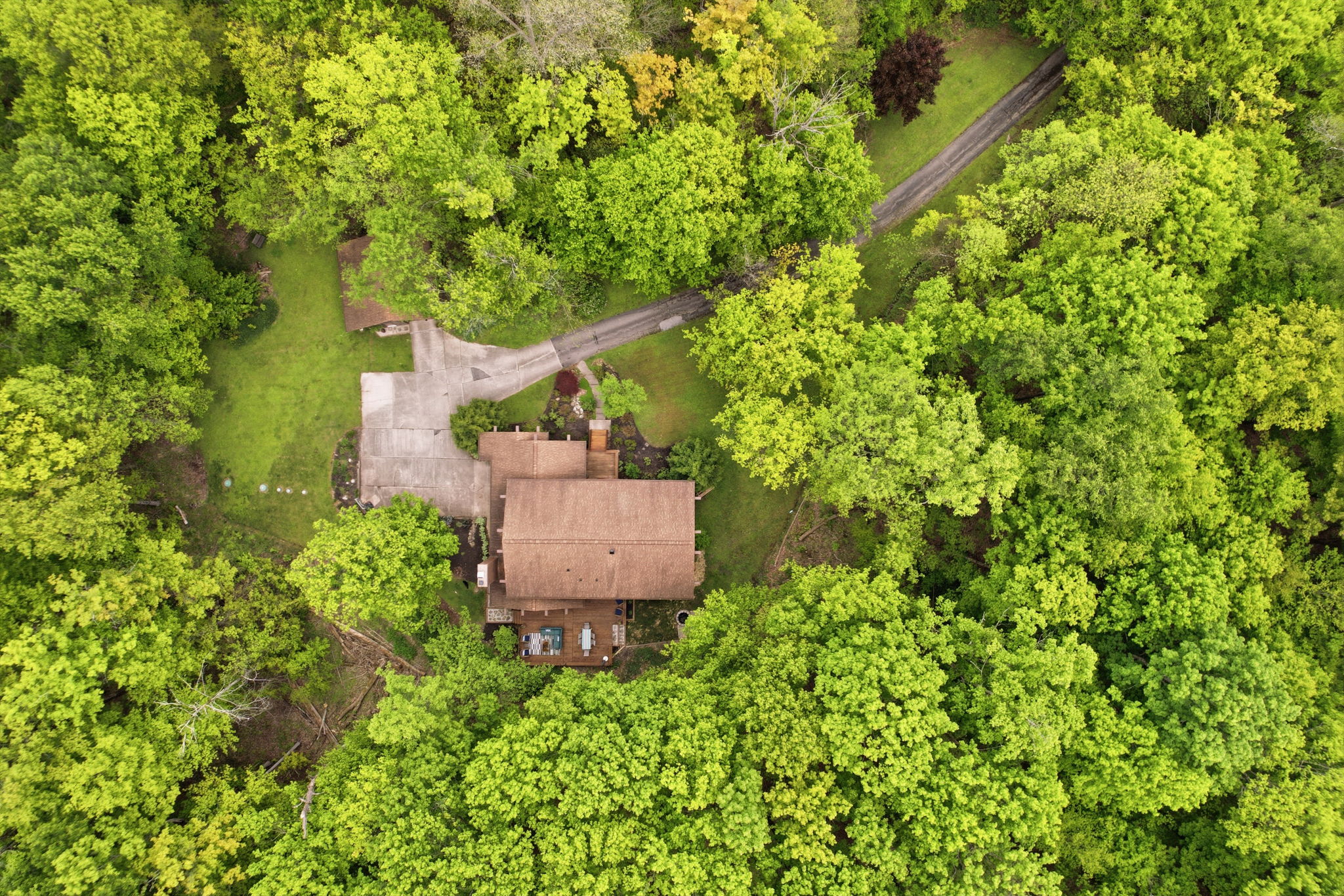  Photo 7