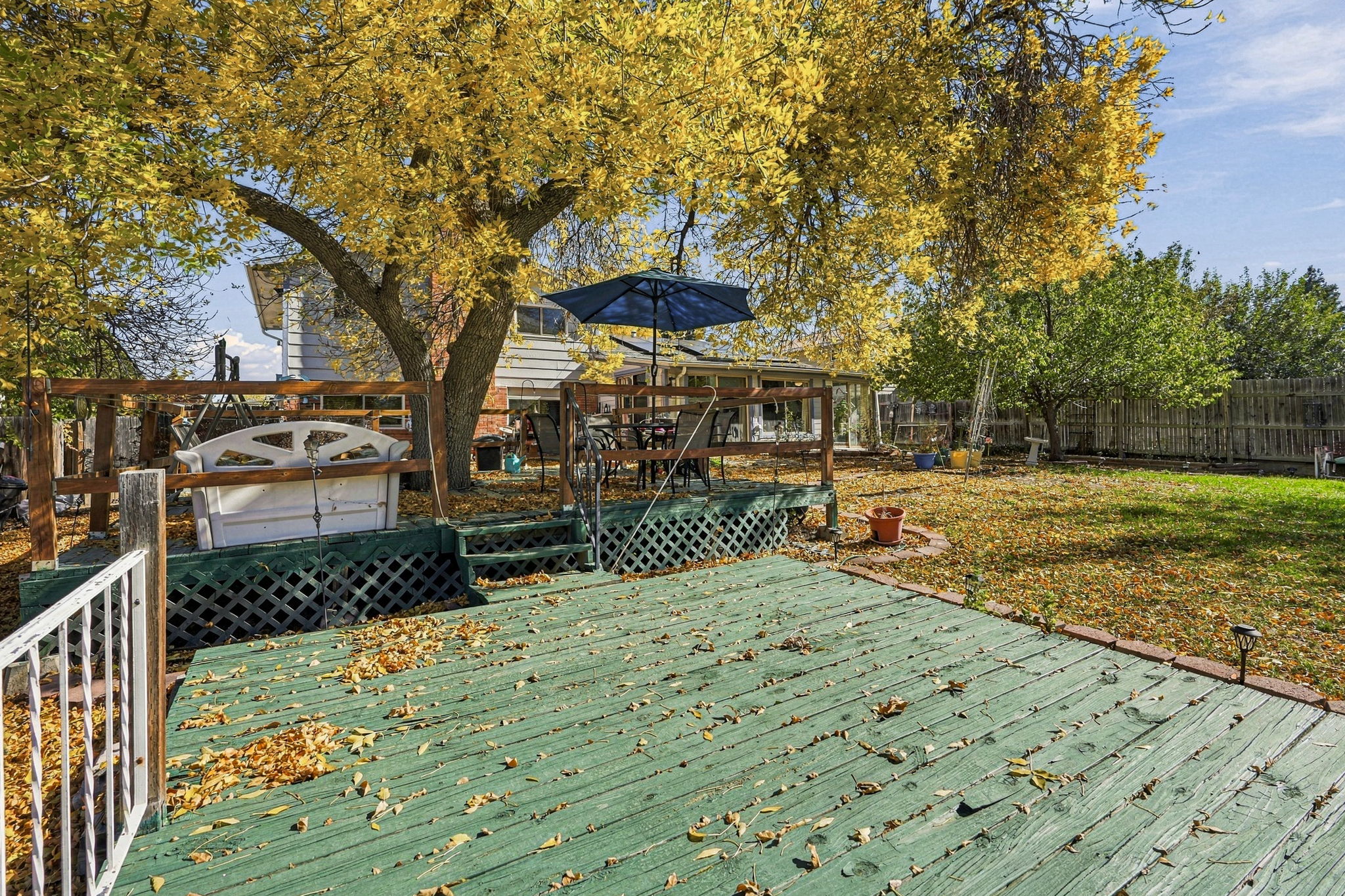  Photo 45