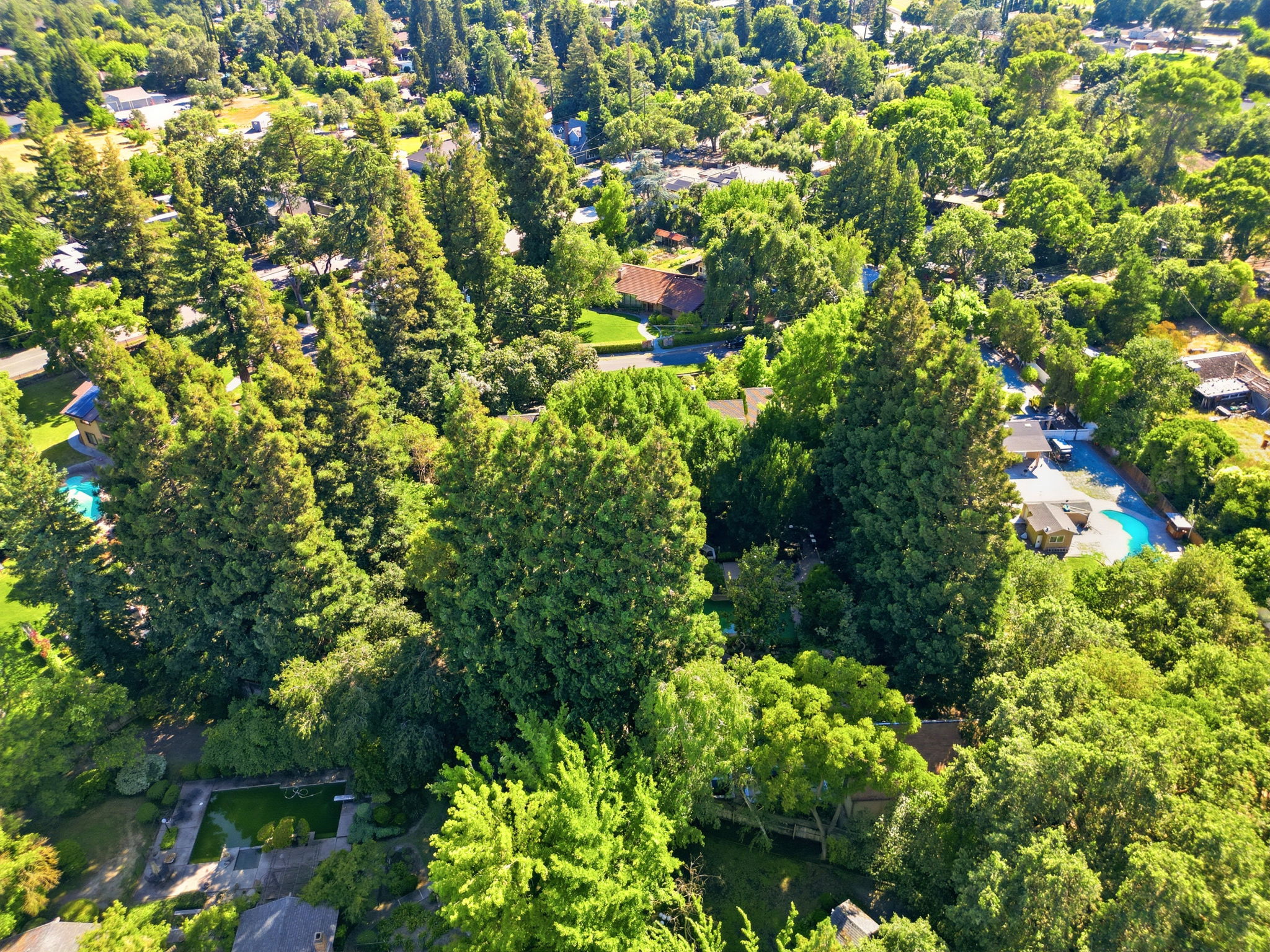 014_F8_AERIAL_9368 Oakwilde Ave