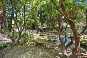 072_F8_9368 Oakwilde Ave