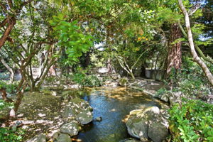 073_F8_9368 Oakwilde Ave