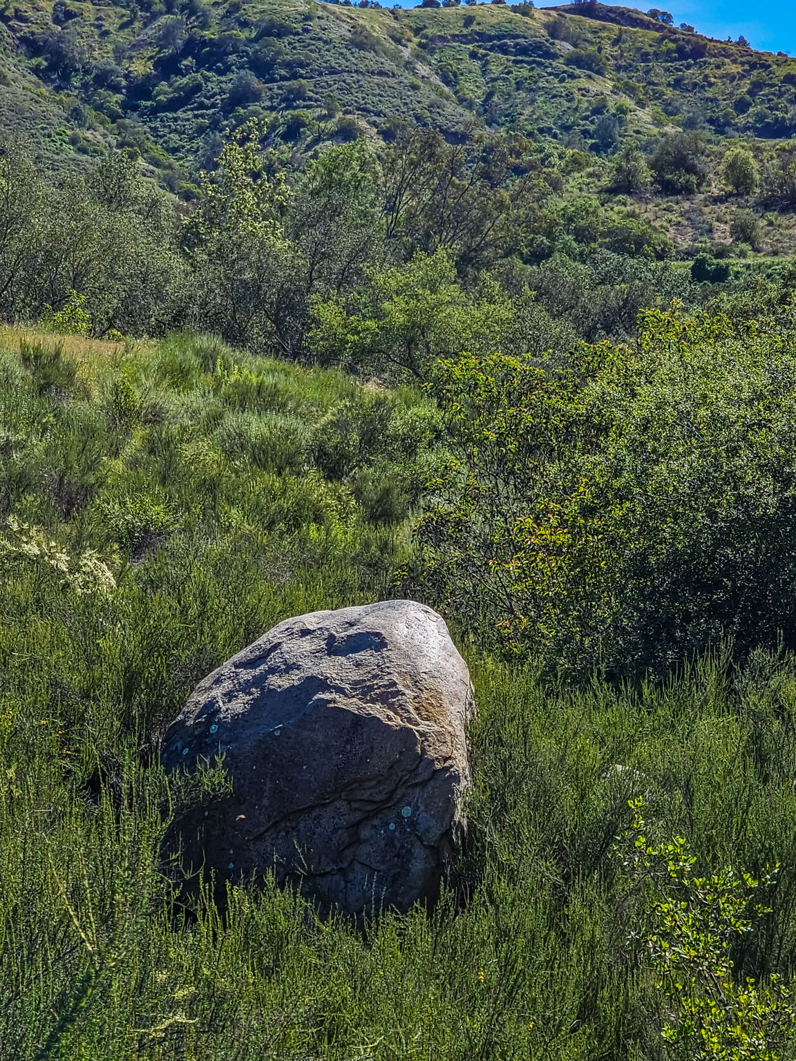  Photo 25