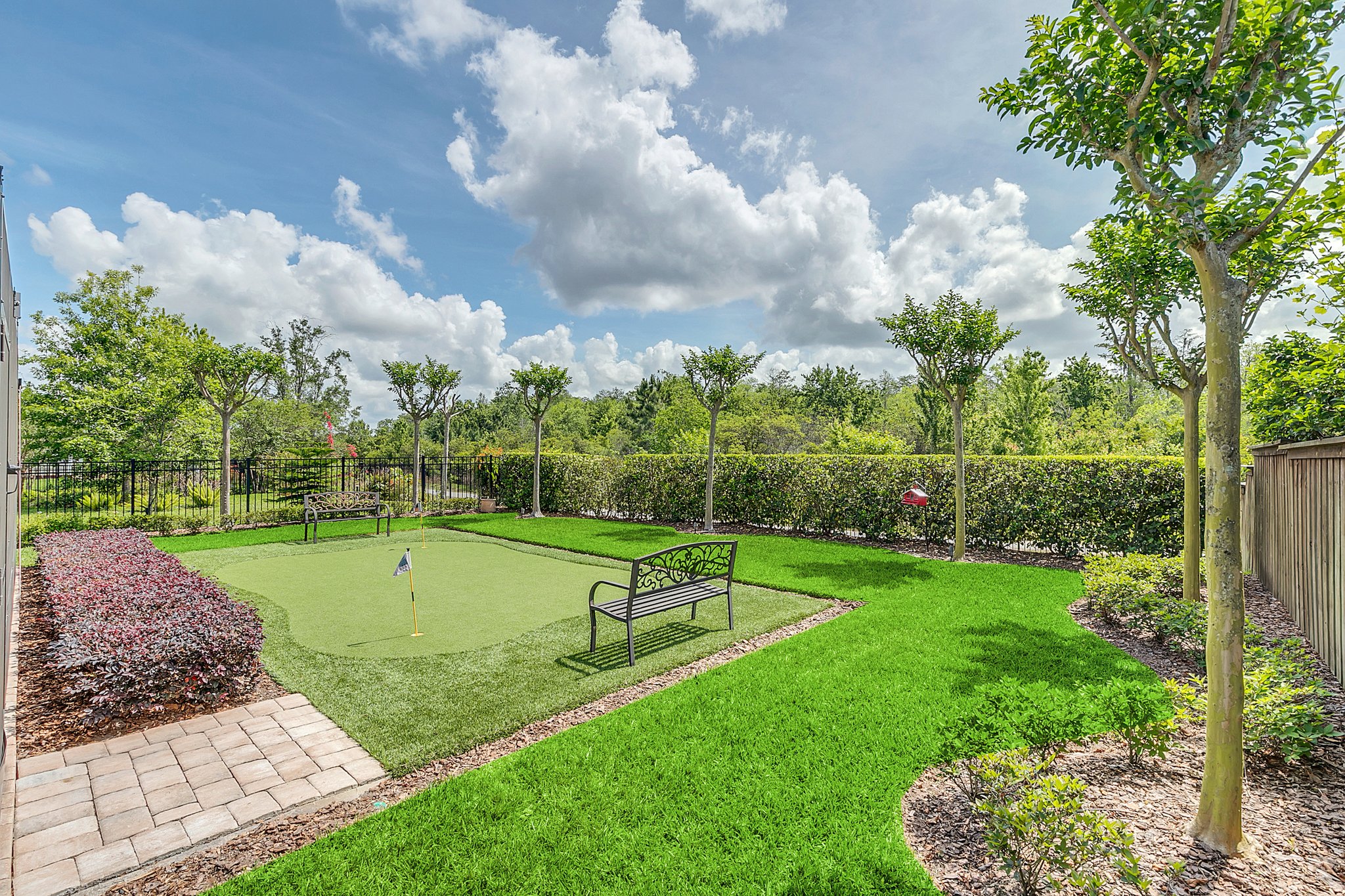  Photo 54