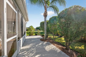 Rear Patio with Privacy Landscaping