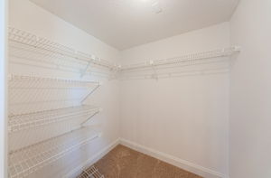 Primary Bedroom Walk-in Closet-2