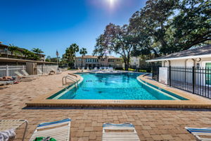 Patio and Pool