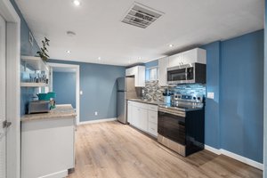 Basement Kitchen