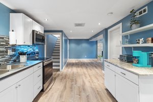 Basement Kitchen