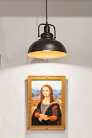  Photo 46