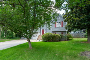  Photo 41