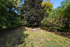  Photo 36