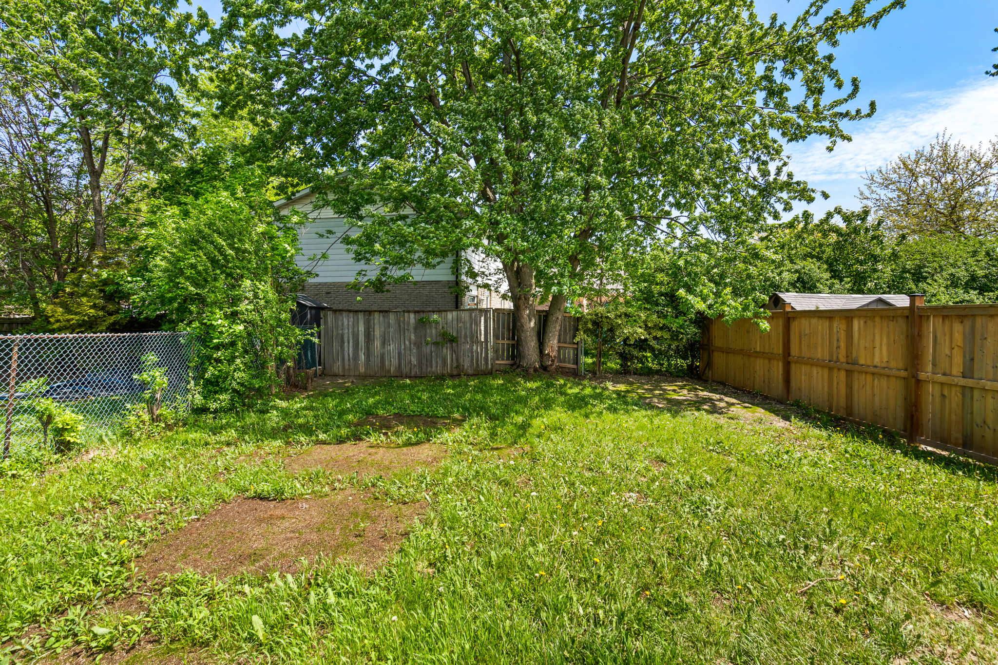  Photo 24