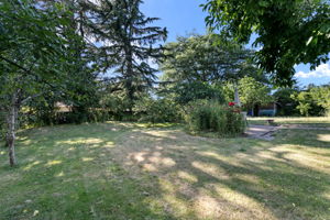  Photo 49