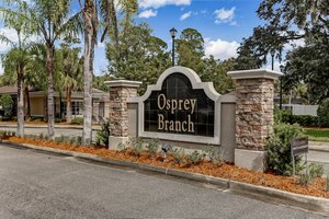 Osprey Branch