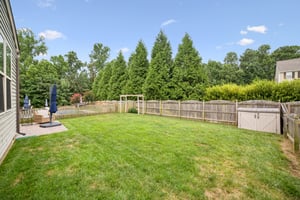 6D8A2758.jpg