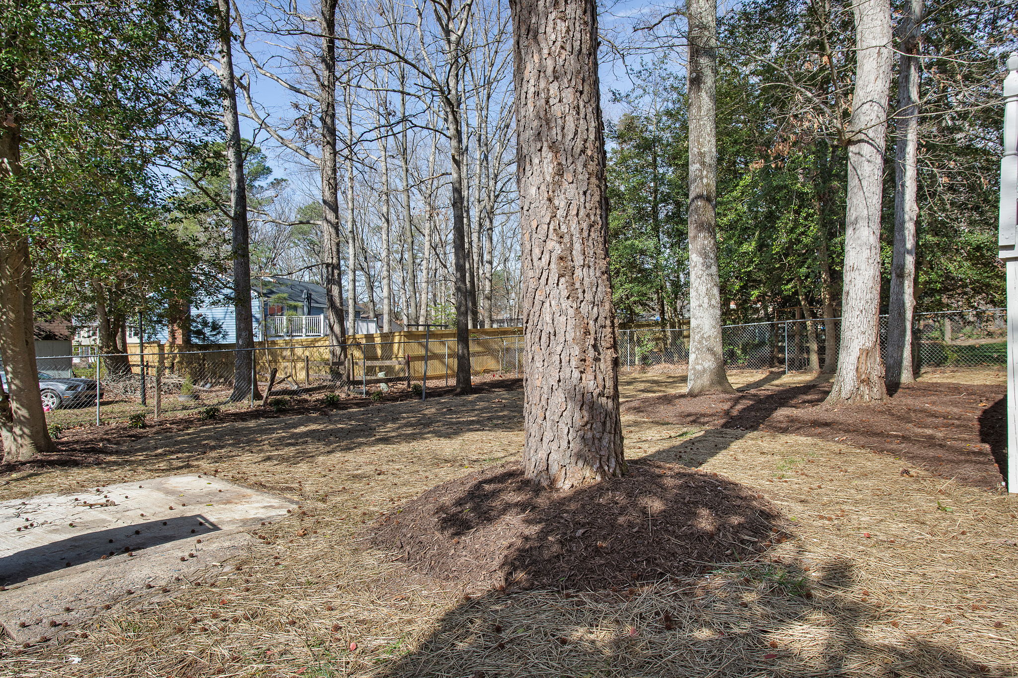 27-Backyard