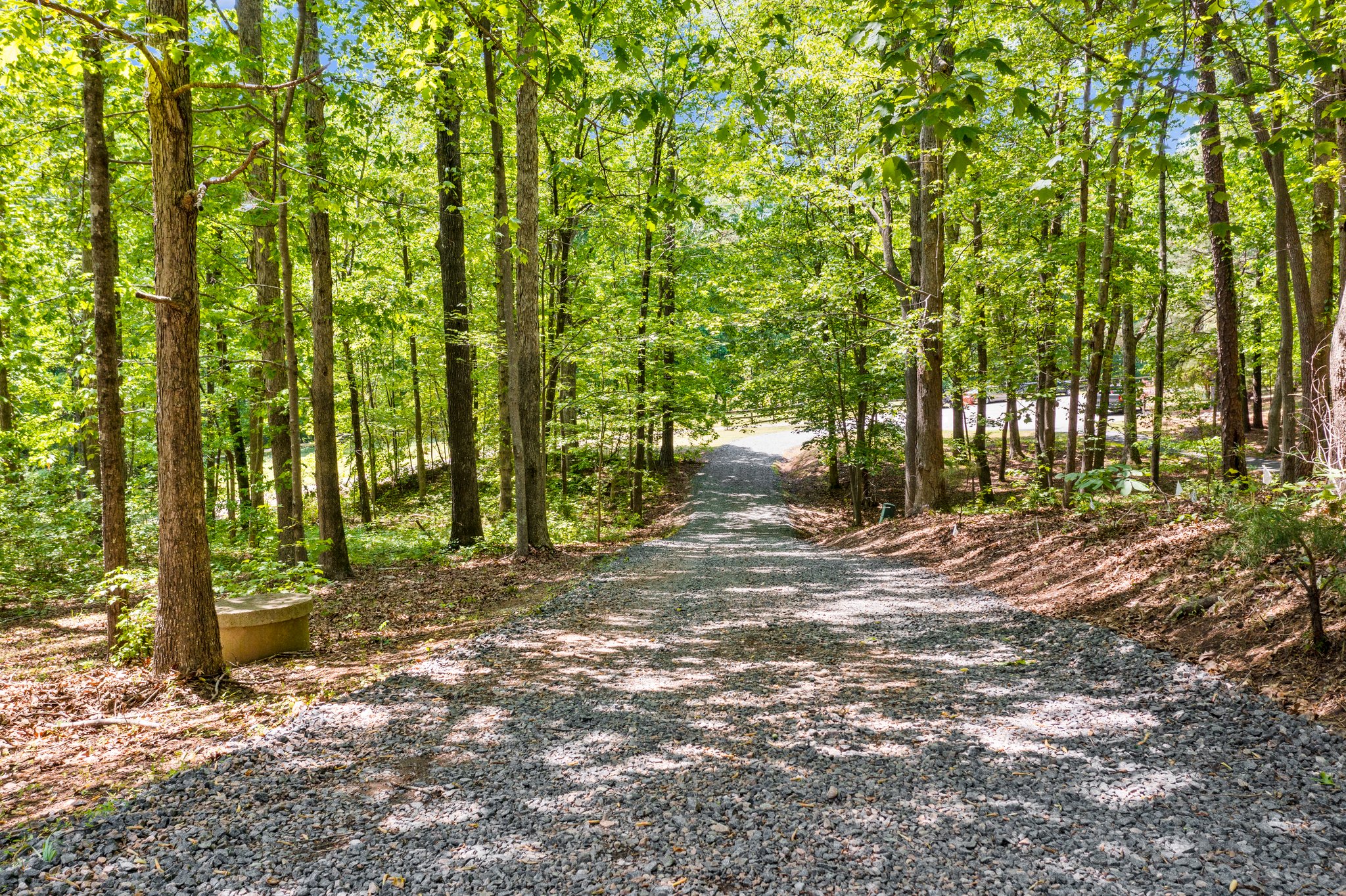 9408 Roseanna Dr, Wake Forest, NC 27587, USA Photo 23