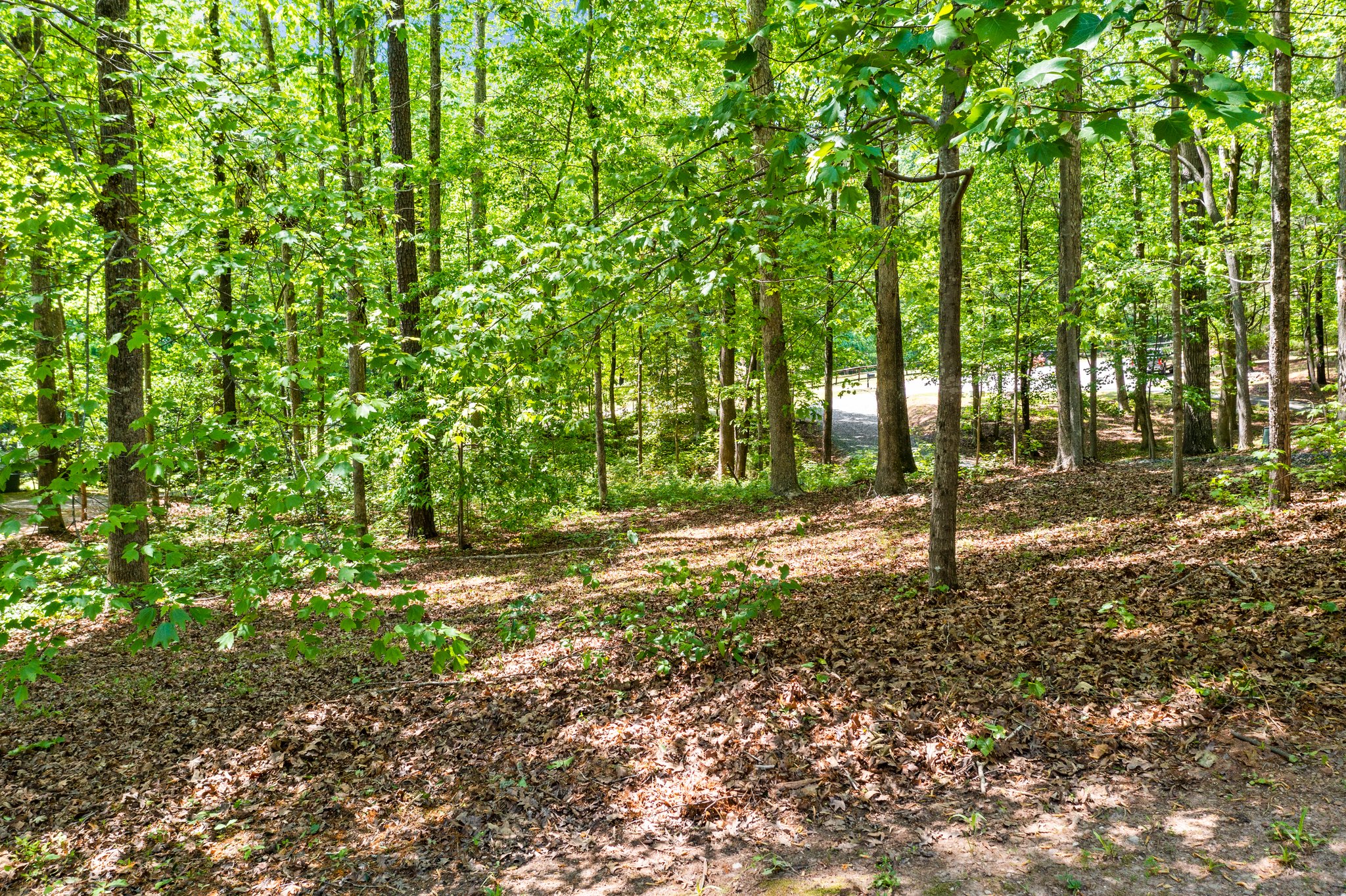 9408 Roseanna Dr, Wake Forest, NC 27587, USA Photo 19