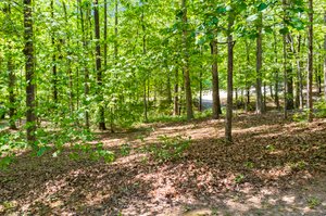 9408 Roseanna Dr, Wake Forest, NC 27587, USA Photo 18