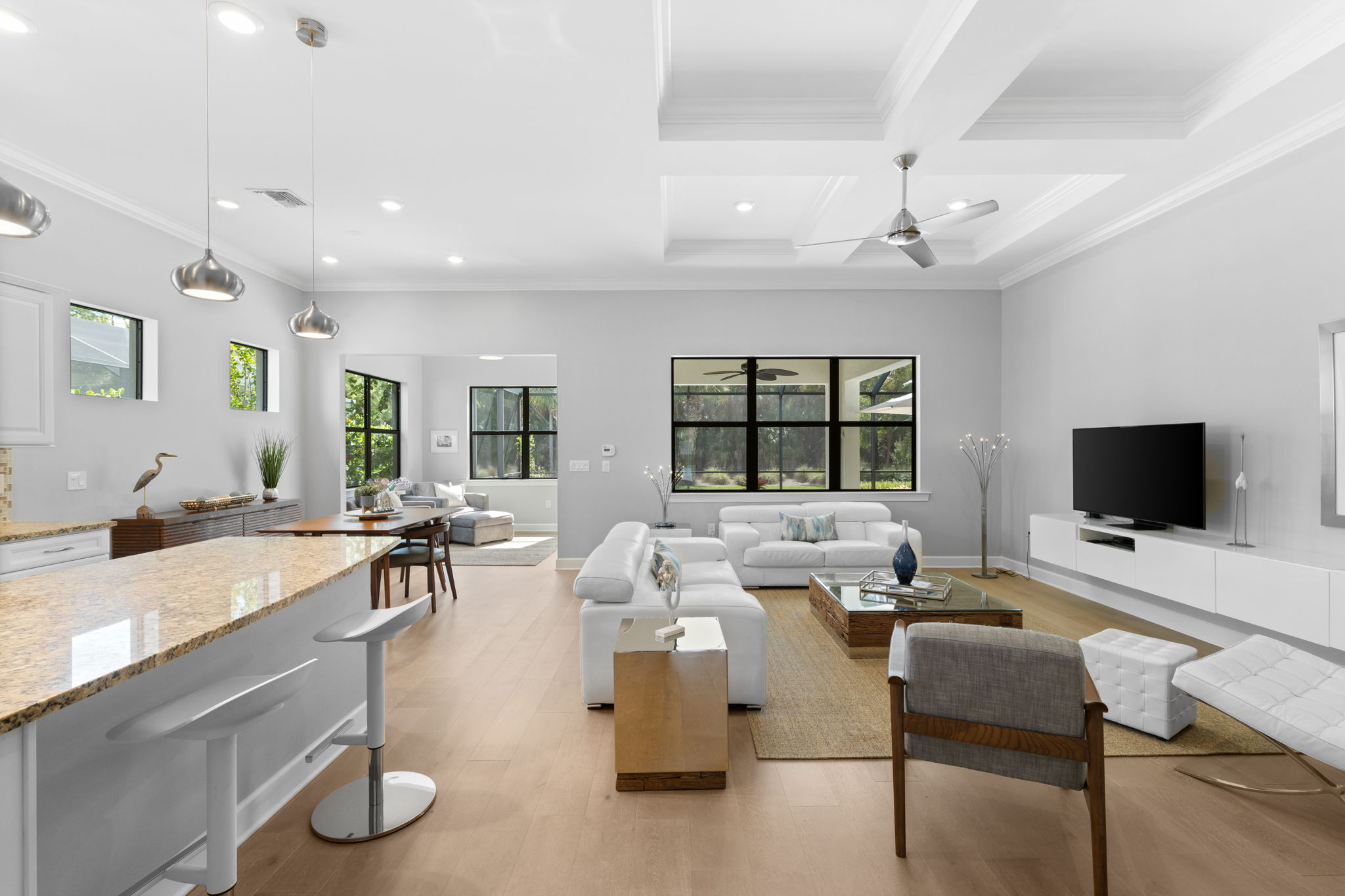 Living Room/Kitchen/Dining