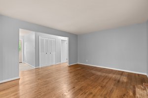 Living Room/Hallway and Foyer
