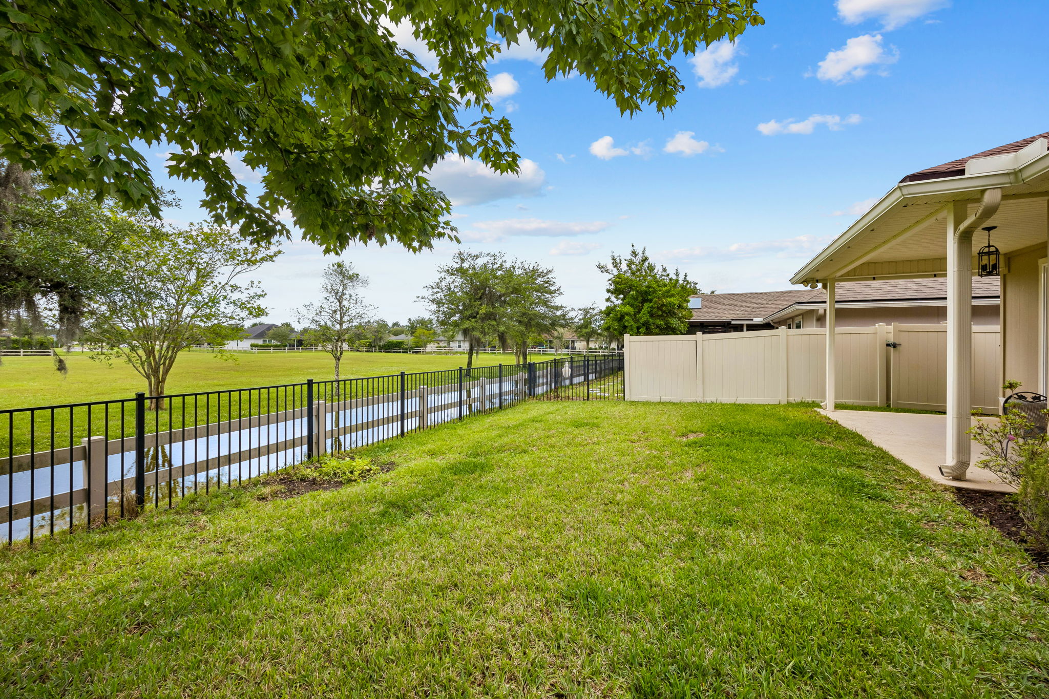 Backyard
