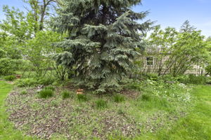  Photo 51