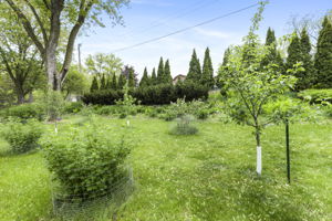  Photo 52