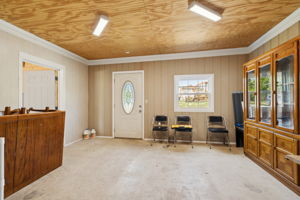  Photo 43