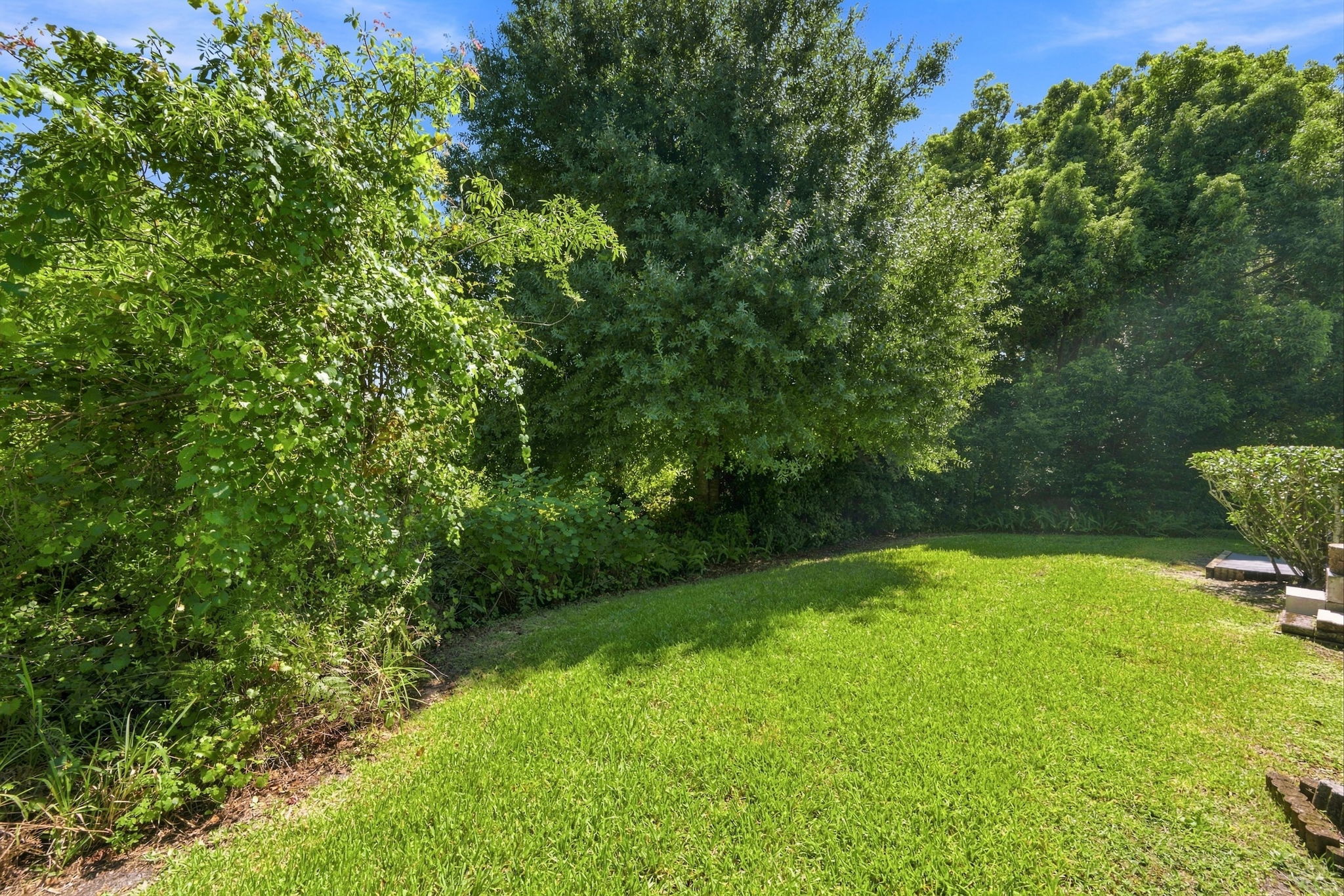 Backyard2