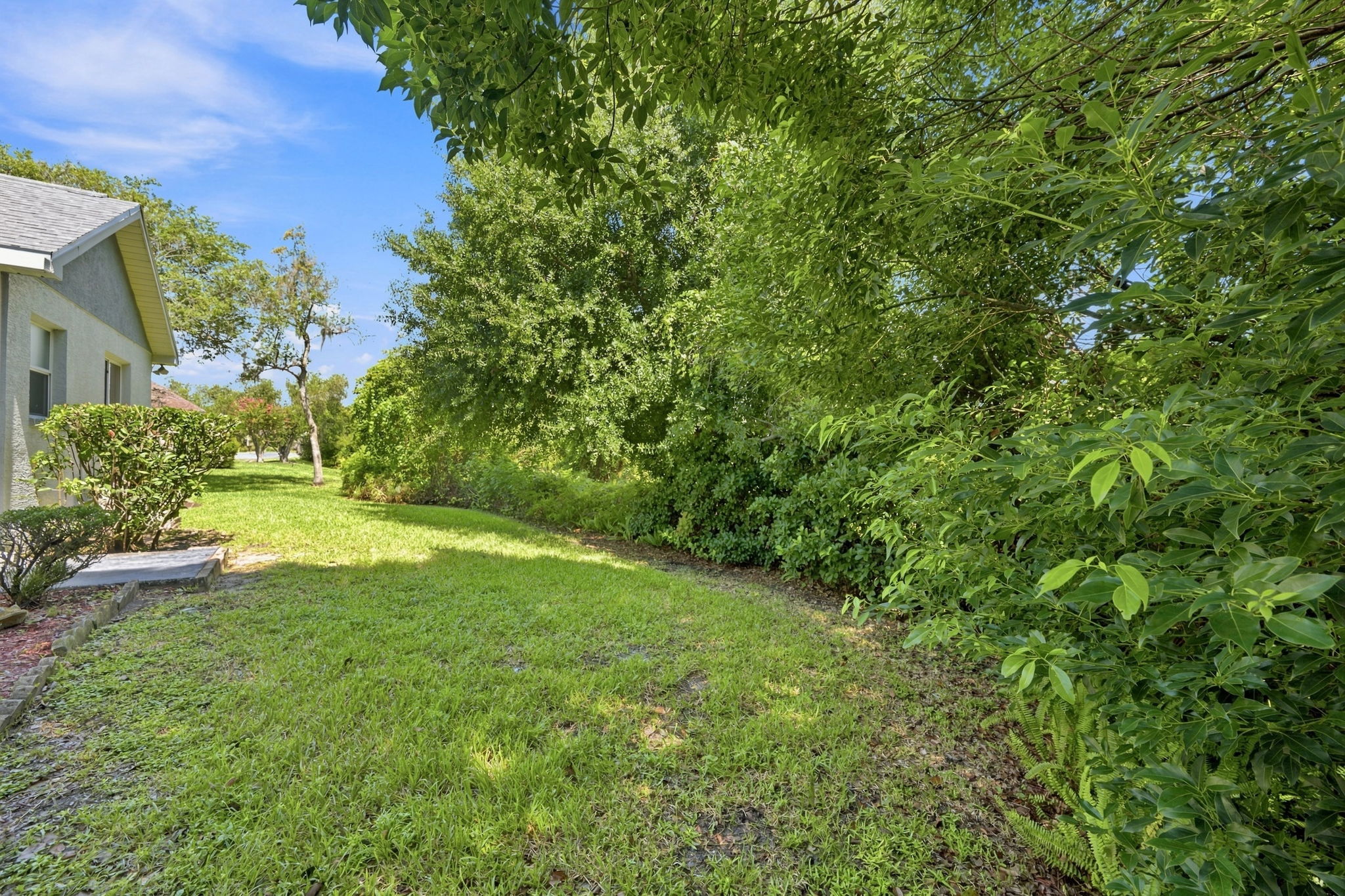 Backyard4