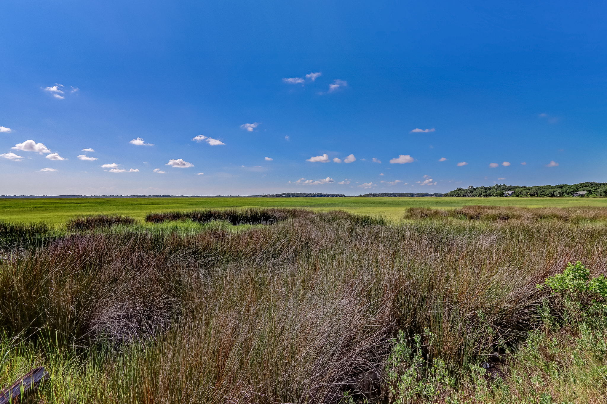 Marsh View