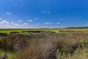 Marsh View