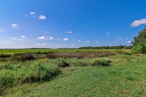Marsh View