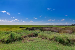 Marsh View
