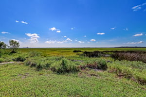 Marsh View