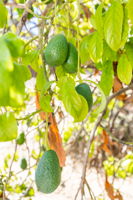  Photo 46