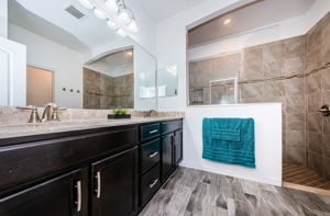 Master Bathroom1a