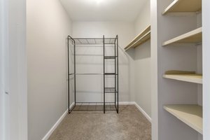 Spacious Walk-In Closet with built in shelving!