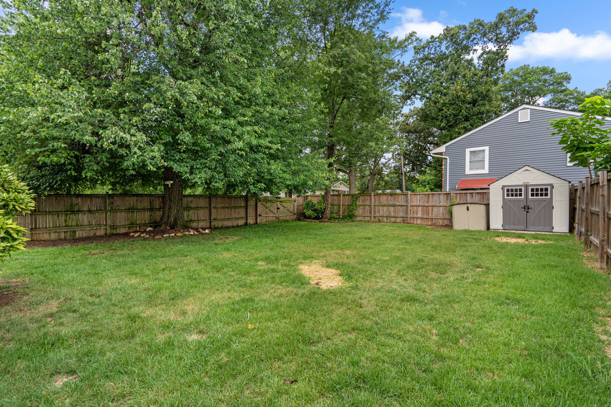 Yard