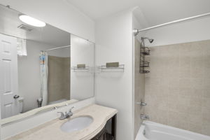 Lower Level - Bathroom