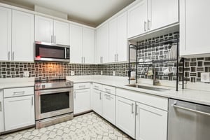Silver King Ct 410-1204-018.jpg