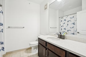 Silver King Ct 410-1204-022.jpg