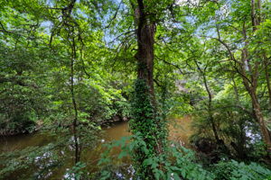  Photo 40